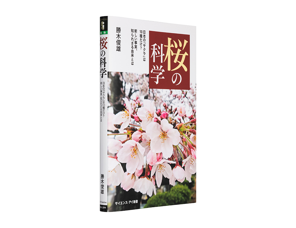 桜の科学 日本の「サクラ」は10種だけ？新しい事実、知られざる由来とは